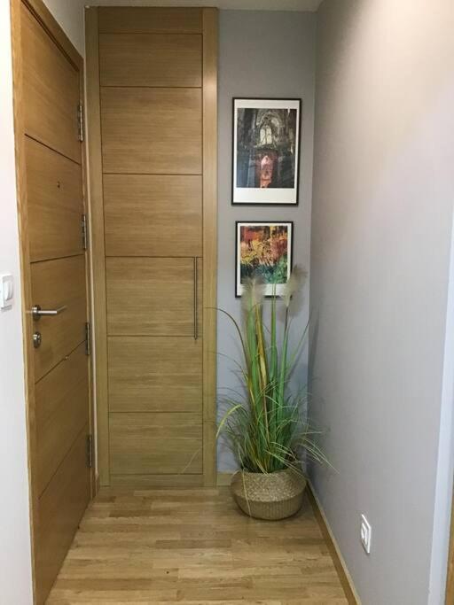 Lerez House Pontevedra Apartman Kültér fotó